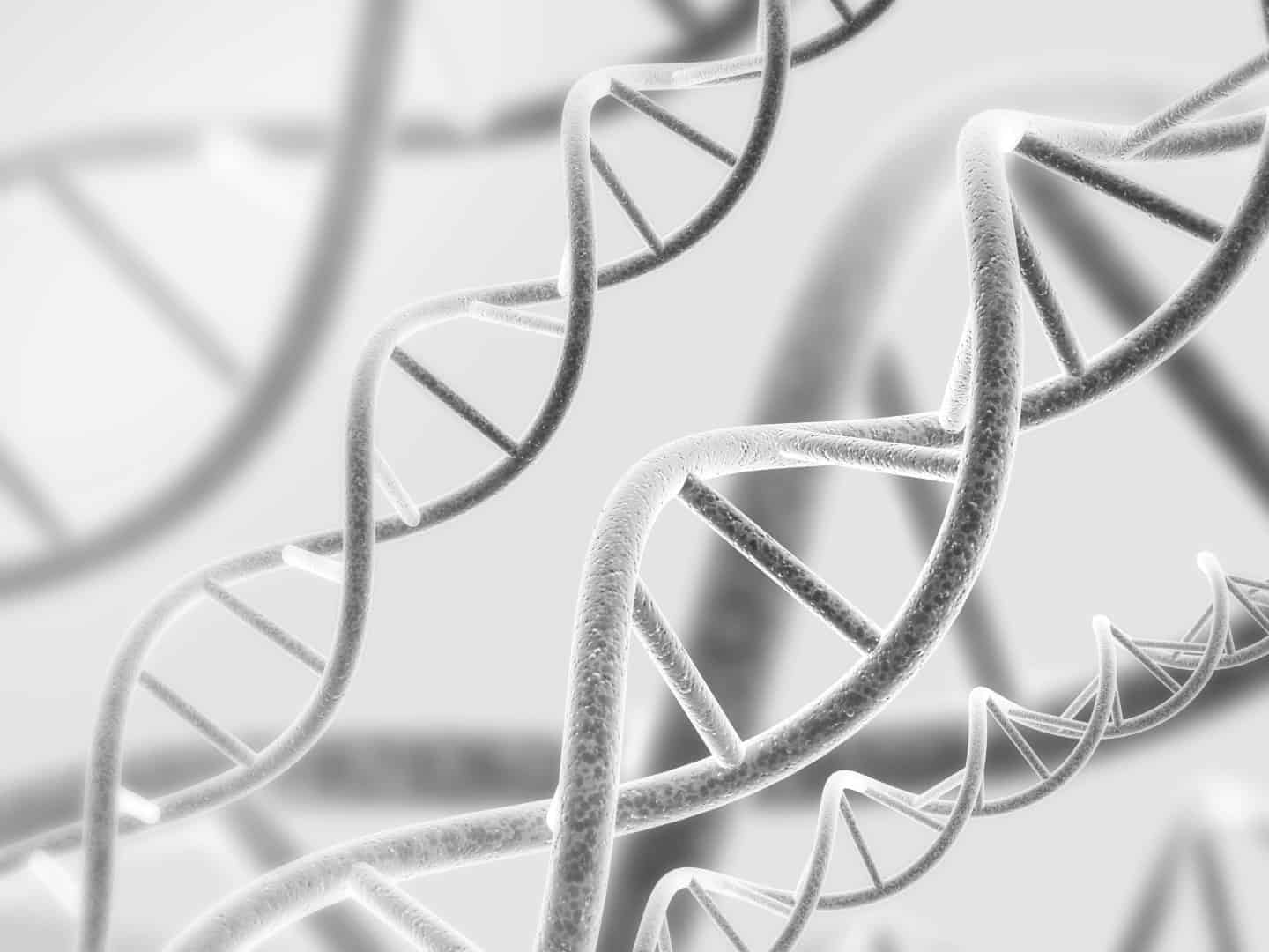 Digital,3d,Model,Of,Dna,Structure.,Black,And,White