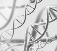 Digital,3d,Model,Of,Dna,Structure.,Black,And,White